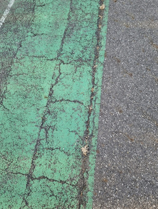 3695294320_H8U1ZFEg_b4f473c7ea6cb6bcb0cf7cd678afd07169e2223a.jpg 이미지크게보기