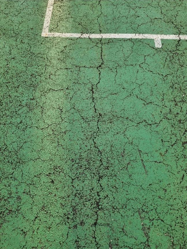 3695294320_ynUwIqD0_dce94d71bd201f66e9710715ea04f012f215b362.jpg 이미지크게보기